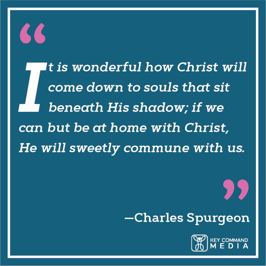 It is wonderful how Christ will come down to souls that sit beneath His shadow; if we can but be at home with Christ, He will sweetly commune with us. (Charles Spurgeon)