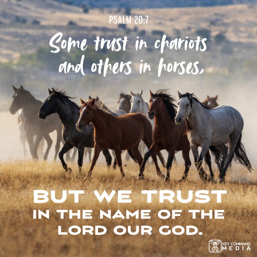 Wild horses run in a pack through a field with Psalm 20:7, "Some trust in chariots and others in horses, but we trust in the name of the Lord of our God."