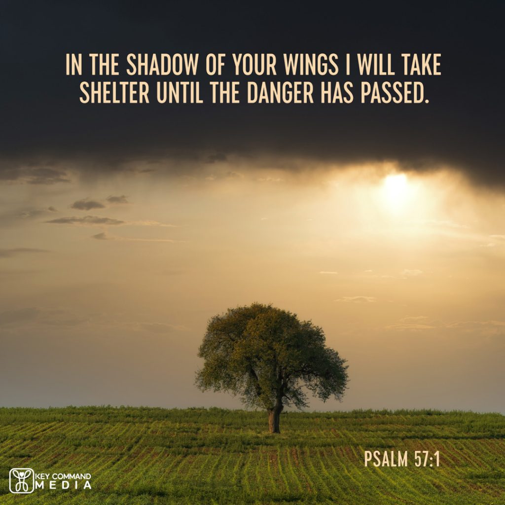 A lone tree stands in a field as the dark clouds of a storm mingle with sunshine with Psalm 57:1, "In the shadow of your wings I will take shelter until the danger has passed."