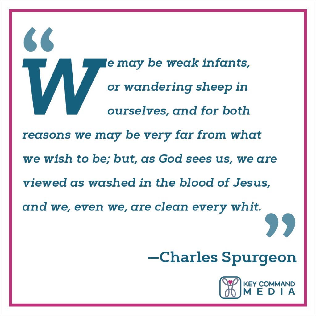 We may be weak infants, or wandering sheep in ourselves, and for both reasons we may be very far from what we wish to be; but, as God sees us, we are viewed as washed in the blood of Jesus, and we, even we, are clean every whit.  (Charles Spurgeon)
