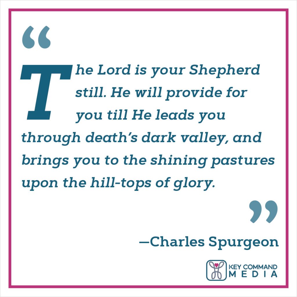 The Lord is your Shepherd still. He will provide for you till He leads you through death’s dark valley, and brings you to the shining pastures upon the hilltops of glory. (Charles Spurgeon)