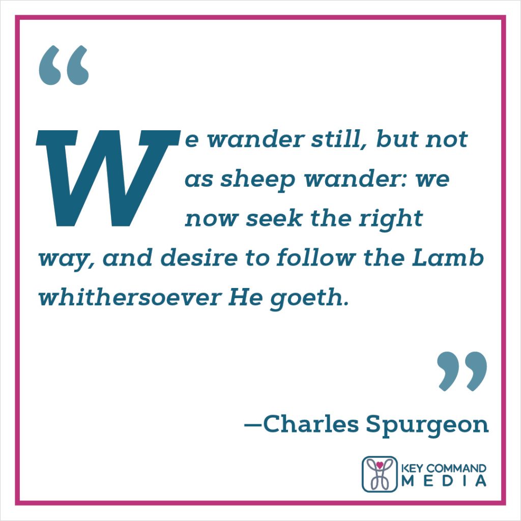 We wander still, but not as sheep wander: we now seek the right way, and desire to follow the Lamb whithersoever He goeth. (Charles Spurgeon)