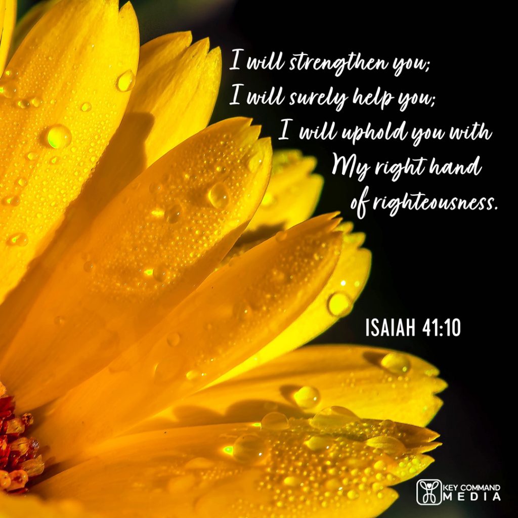 Dew is on the petals of a yellow flower with Isaiah 41:10, "I will strengthen you; I will surely help you; I will uphold you with My right hand of righteousness."