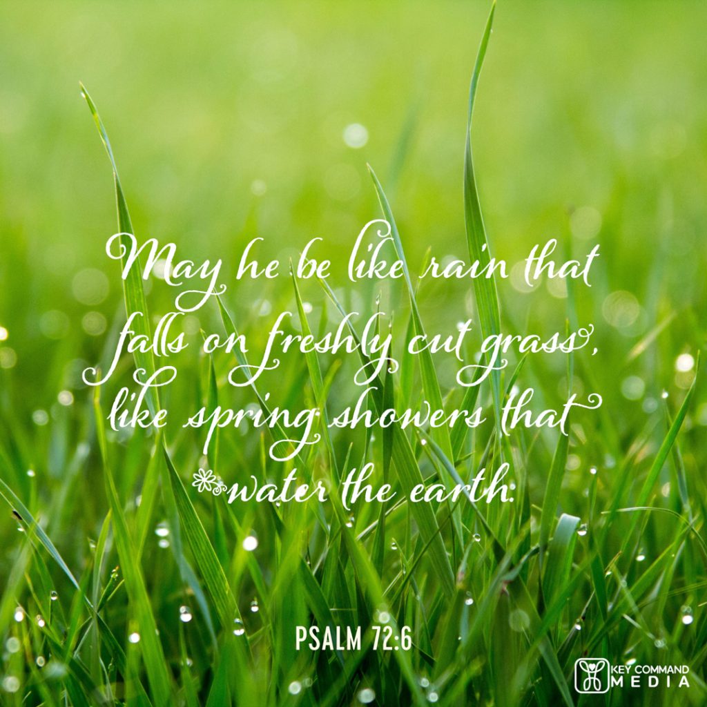 A close up view of grass with Psalm 72:6, "May He be like rain that falls on freshly cut grass, like spring showers that water the earth."