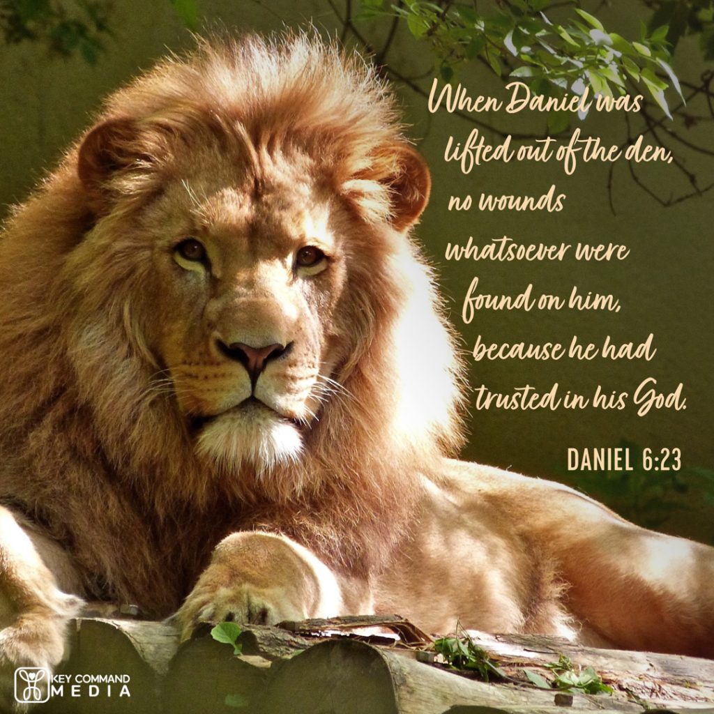 A lion reclines in the sun at a zoo with Daniel 6:23, "When Daniel was lifted out of the den, no wounds whatsoever were found on him, because he had trusted in his God."