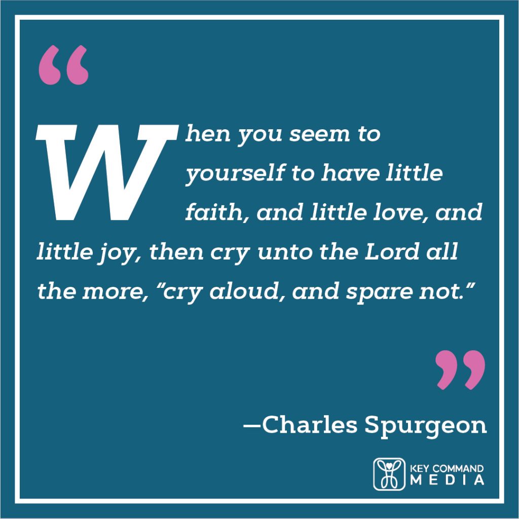 When you seem to yourself to have little faith, and little love, and little joy, then cry unto the Lord all the more, “cry aloud, and spare not.” (Charles Spurgeon)